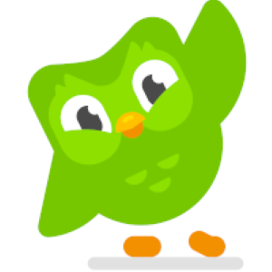 Duo Lingo
